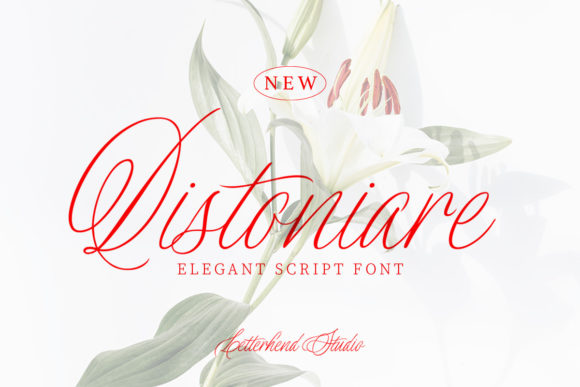 Download Distoniare Script - Premium Resources
