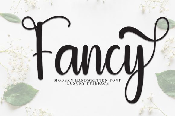 Download Fancy - Premium Resources
